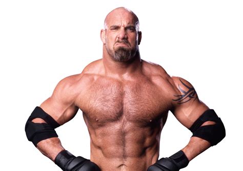 goldberg wiki